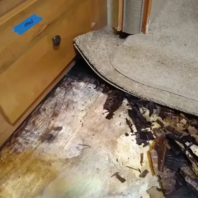 Best Wood Floor Water Damage Service in Milwaukie, OR